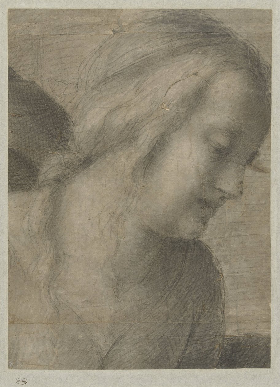 Bir Tapınmada Meryem'in Başı by Andrea del Sarto