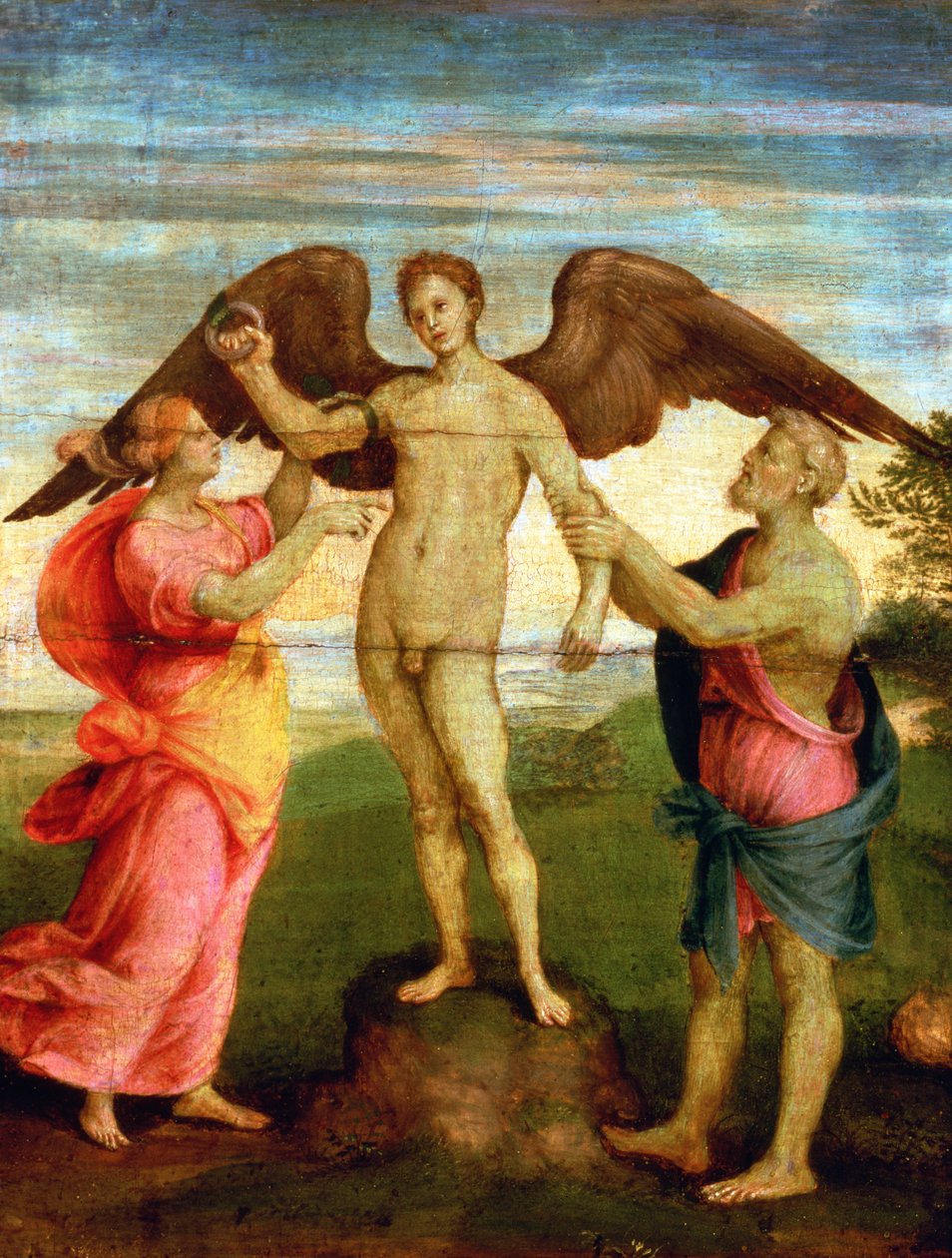 İkarus by Andrea del Sarto