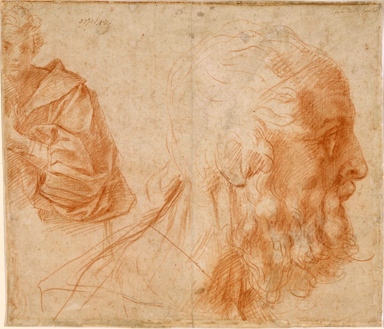 ""Genç adam ve yaşlı bir adamın başı, muhtemelen Homer"" (Bir genç ve yaşlı bir adamın başı (Homer?)) Andrea del Sarto