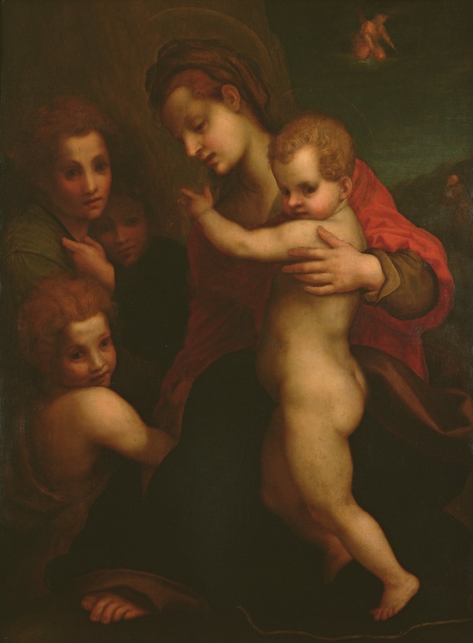 Madonna ve Çocuk, St. John ve iki Melek by Andrea del Sarto
