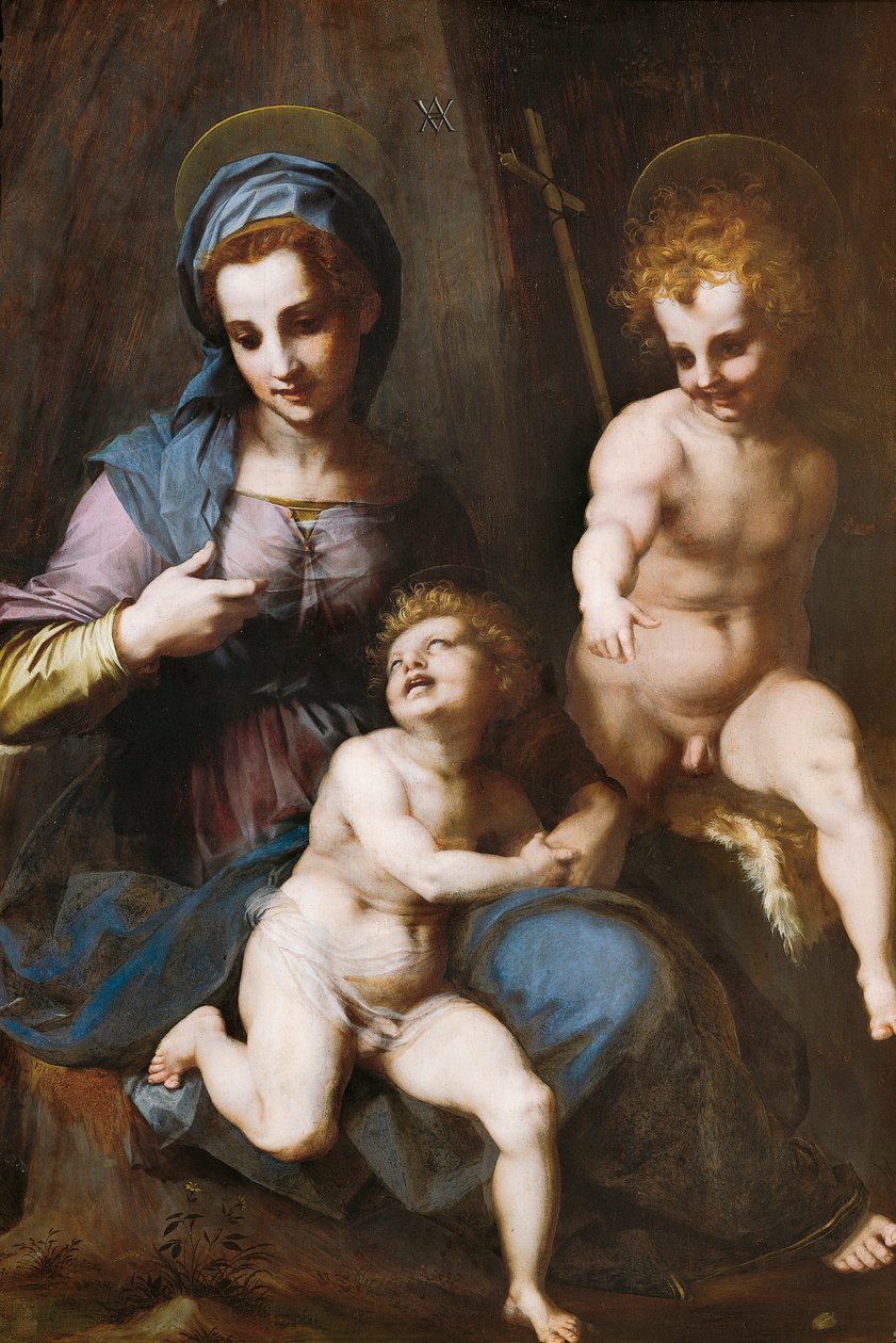 Bebek Aziz John the Baptist ile Madonna ve Çocuk by Andrea del Sarto