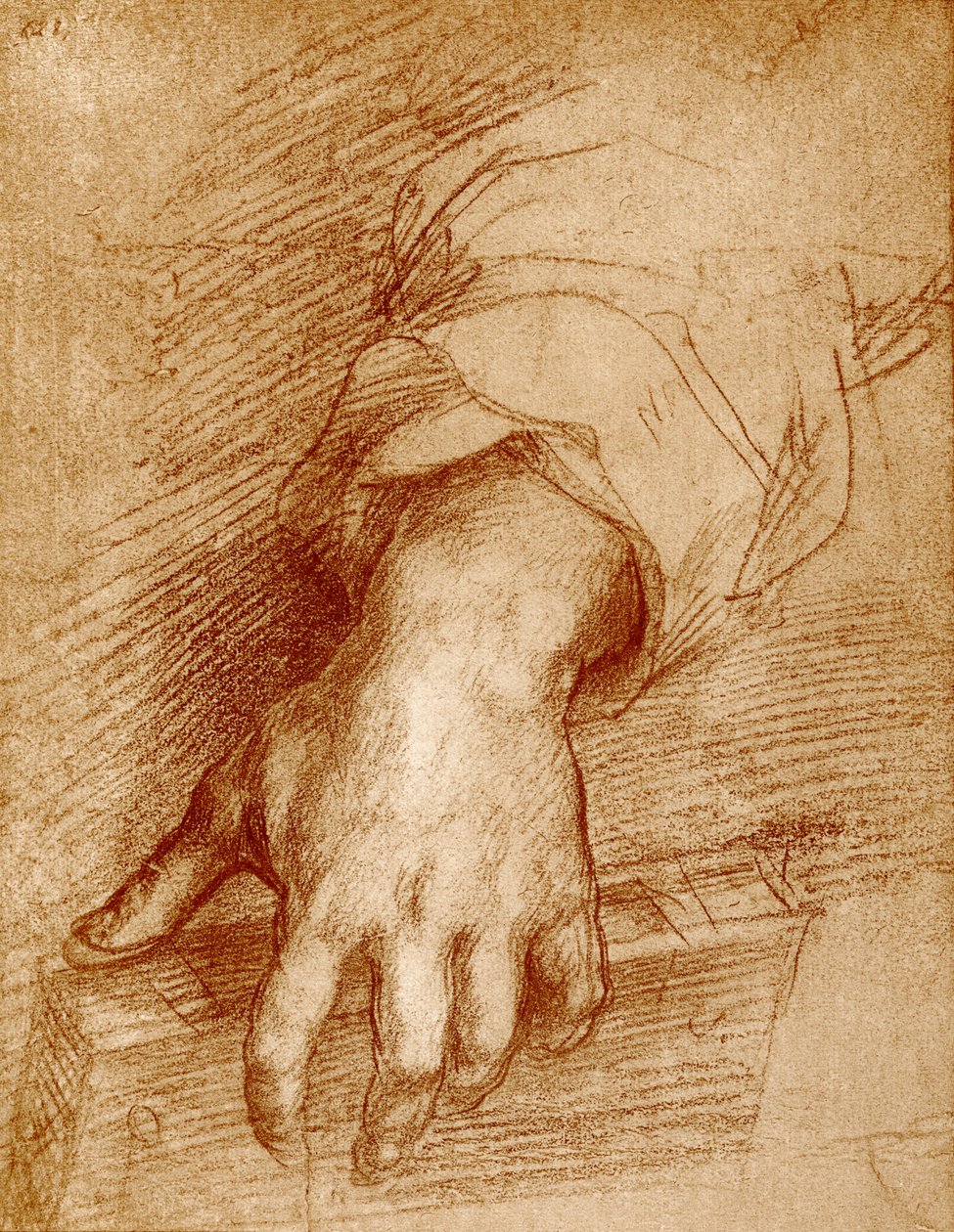 Madonna eli kitapla by Andrea del Sarto