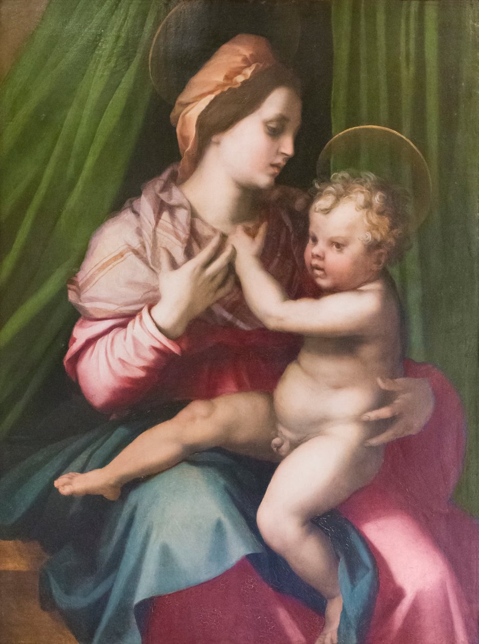 Çocuklu Madonna by Andrea del Sarto