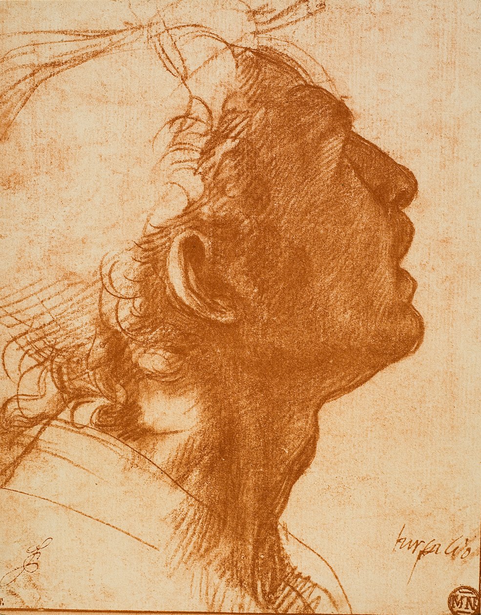 erkek kafa by Andrea del Sarto