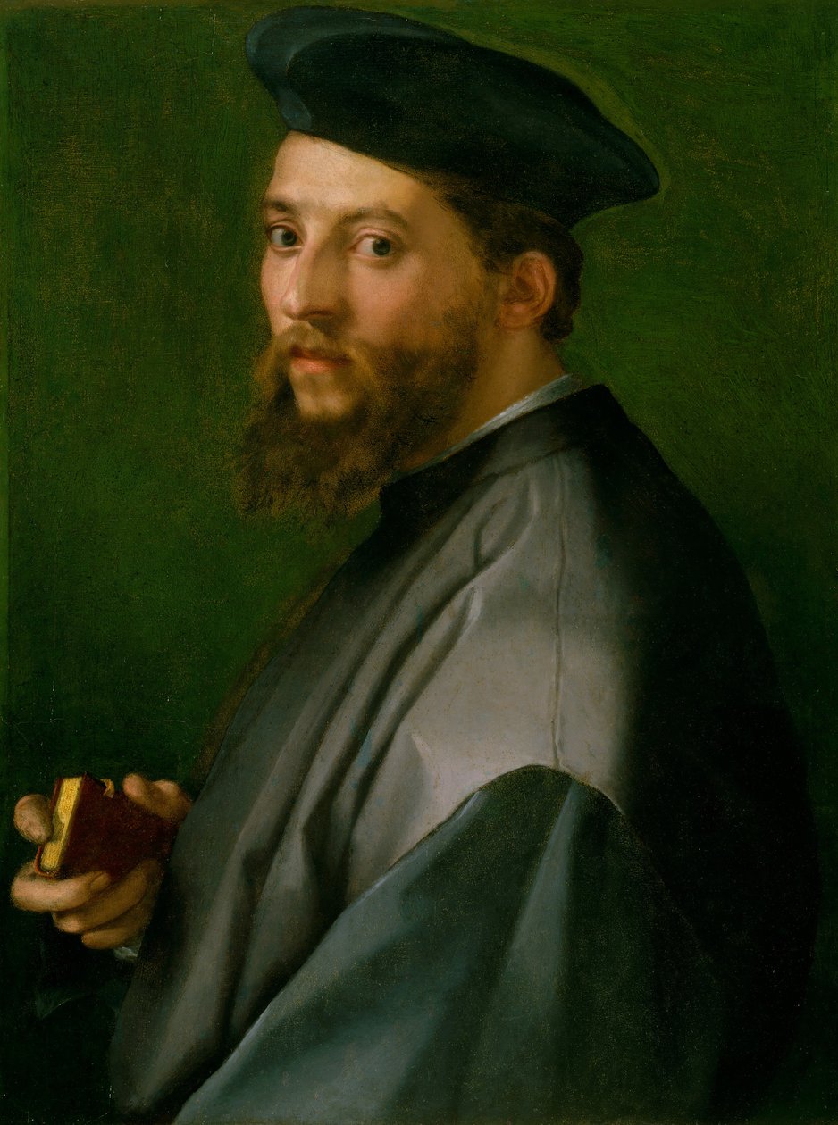 Bir Adamın Portresi, 1528-30. by Andrea del Sarto