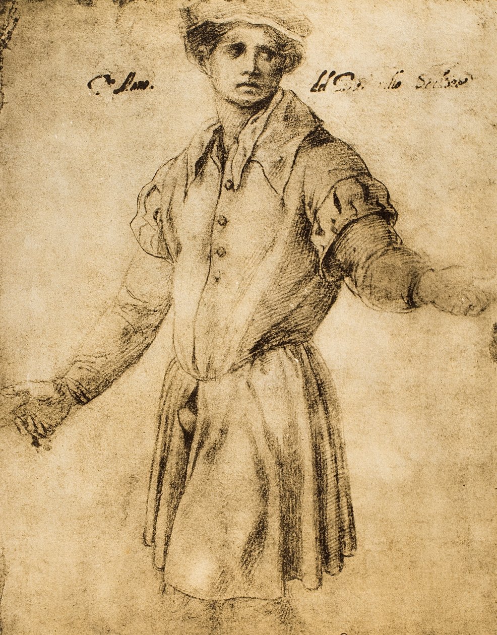 Genç bir Floransalı portresi by Andrea del Sarto