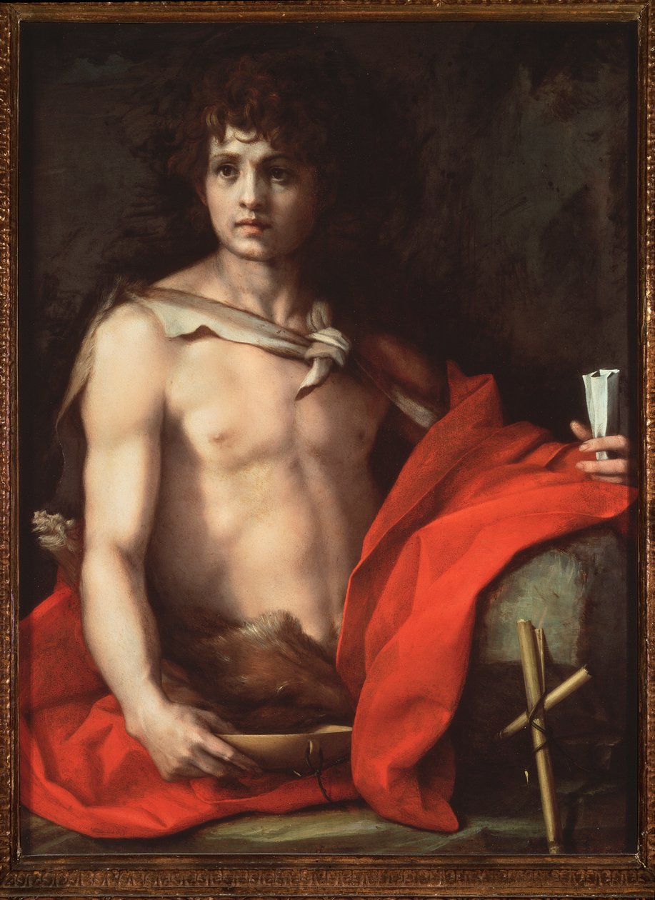 Vaftizci Yahya (Resim by Andrea del Sarto