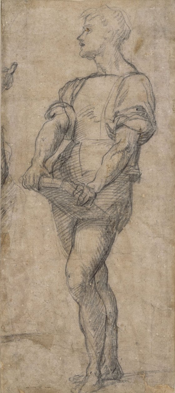 Ayakta duran genç bir kitap tutuyor, yaklaşık 1515 by Andrea del Sarto