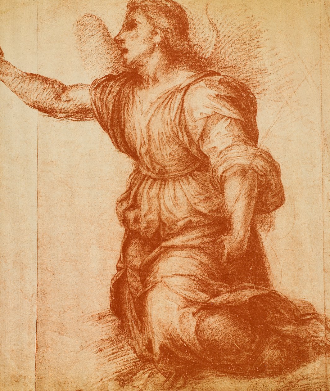Andrea del Sarto