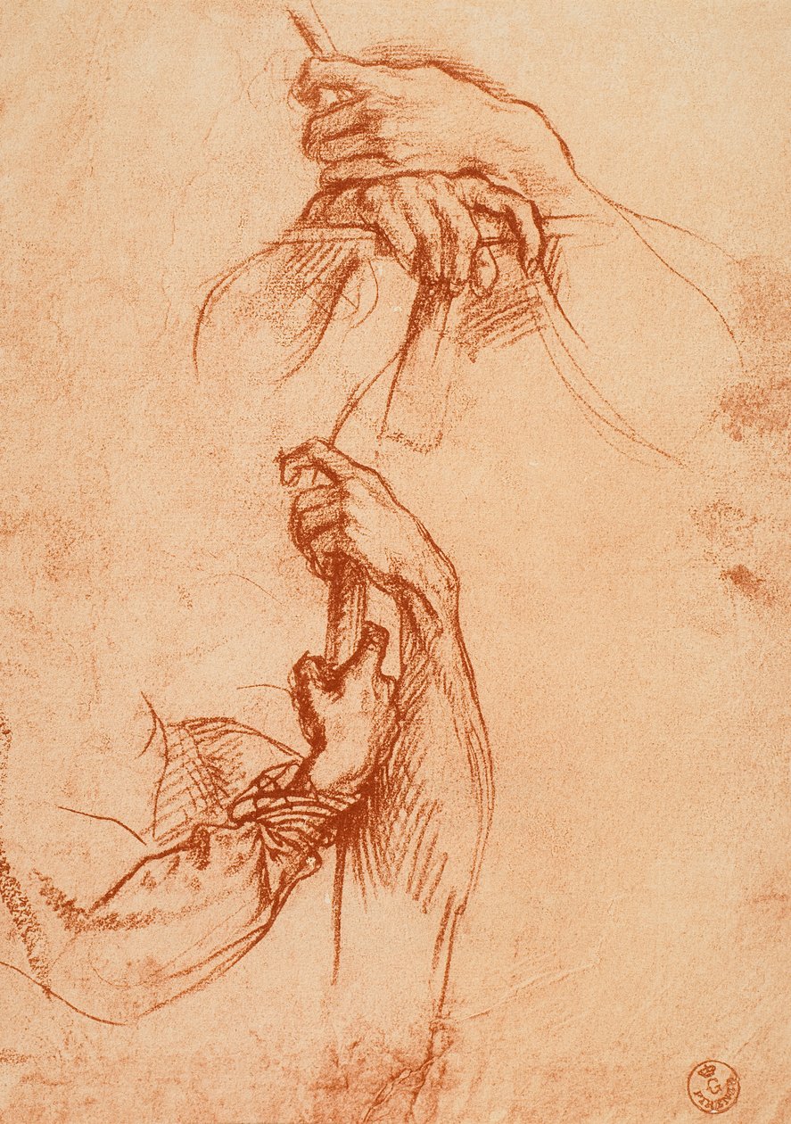 Ellerin incelenmesi by Andrea del Sarto