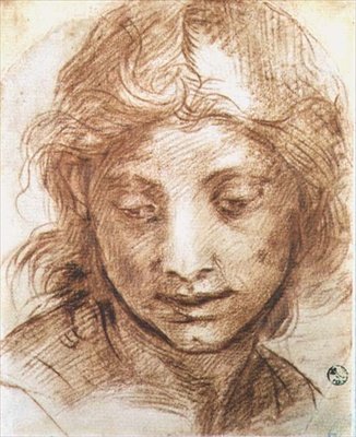 Genç bir kadının başının incelenmesi (tebeşir) by Andrea del Sarto