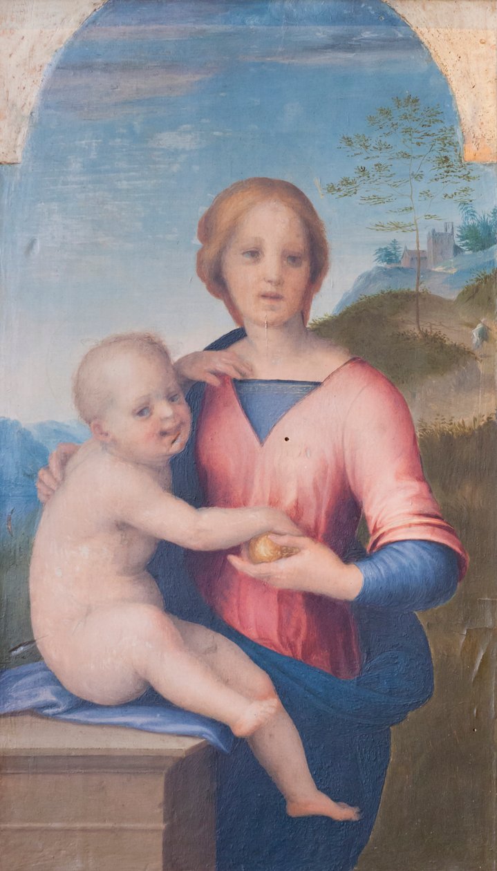 Bakire ve Çocuk (ahşap üzerine yağlı boya) by Andrea del Sarto