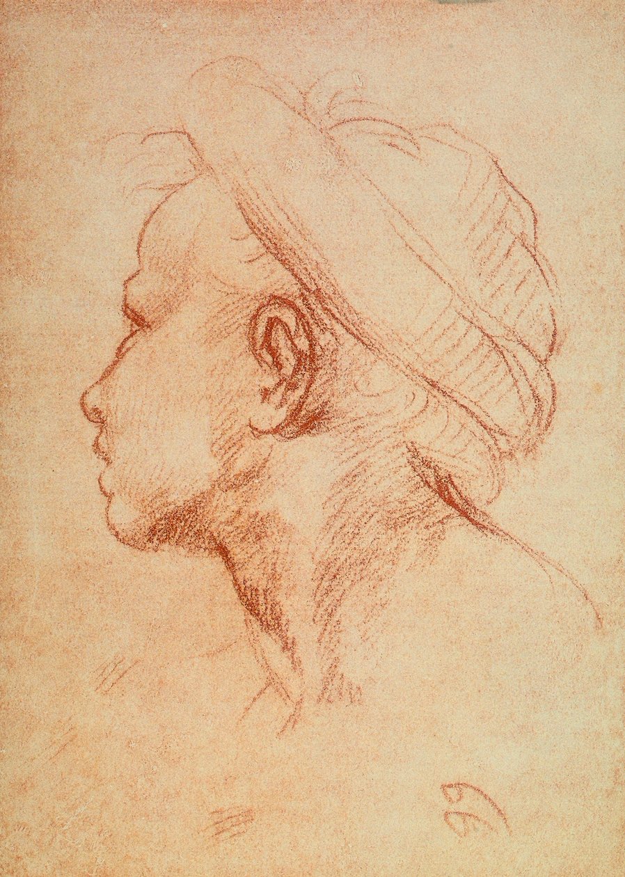 Gençler profilde by Andrea del Sarto