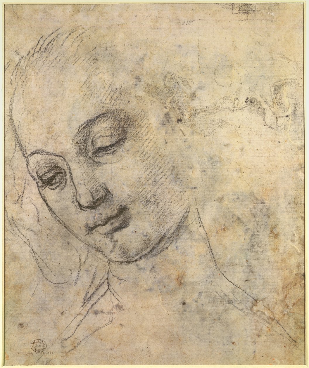 Bir Kadın Kafasının Portresi (kağıt üzerinde siyah tebeşir) by Andrea del Verrocchio