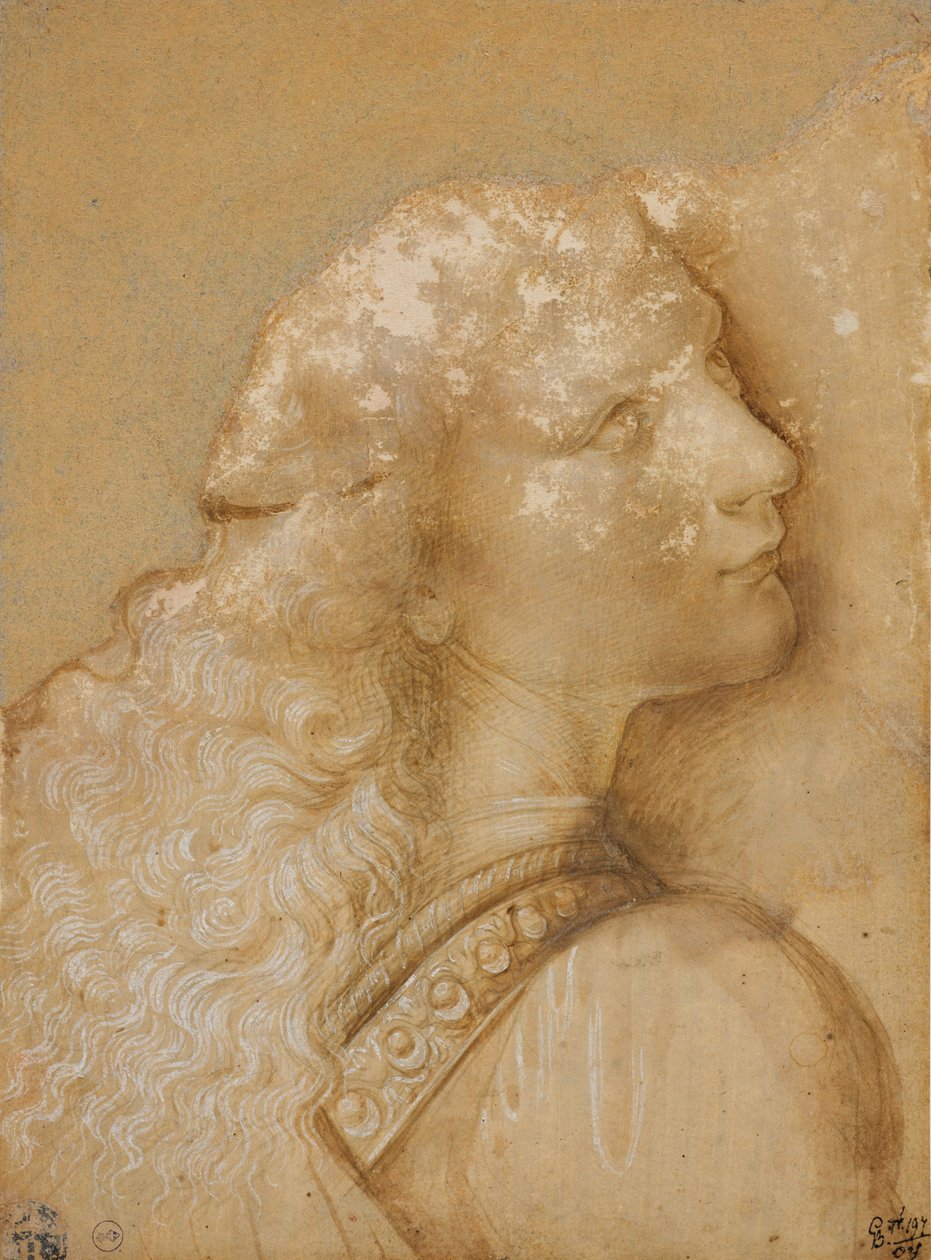 Genç bir adamın büstü, Verrocchio