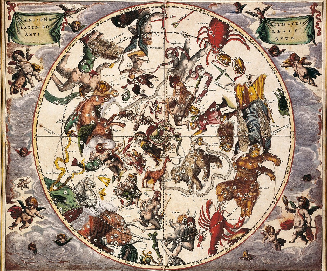 Cellarius, Andreas (1596-1665). Göksel Atlas veya Makrokozmik Uyum. 1661. Fol 24. Eski yıldızlı yarımküre boreal. Kuzey Yarımküre'nin temsili. Johannes Janssonius tarafından Amsterdam'da basılmıştır. Erken Modern Dönem Oymak. İSPANYA C by Andreas Cellarius