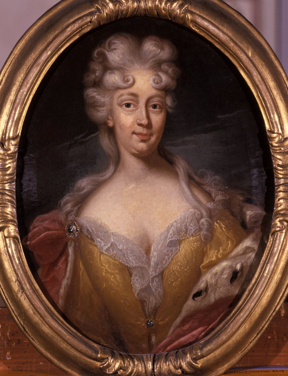 Friederike Elisabeth von Sachsen-Marksuhl