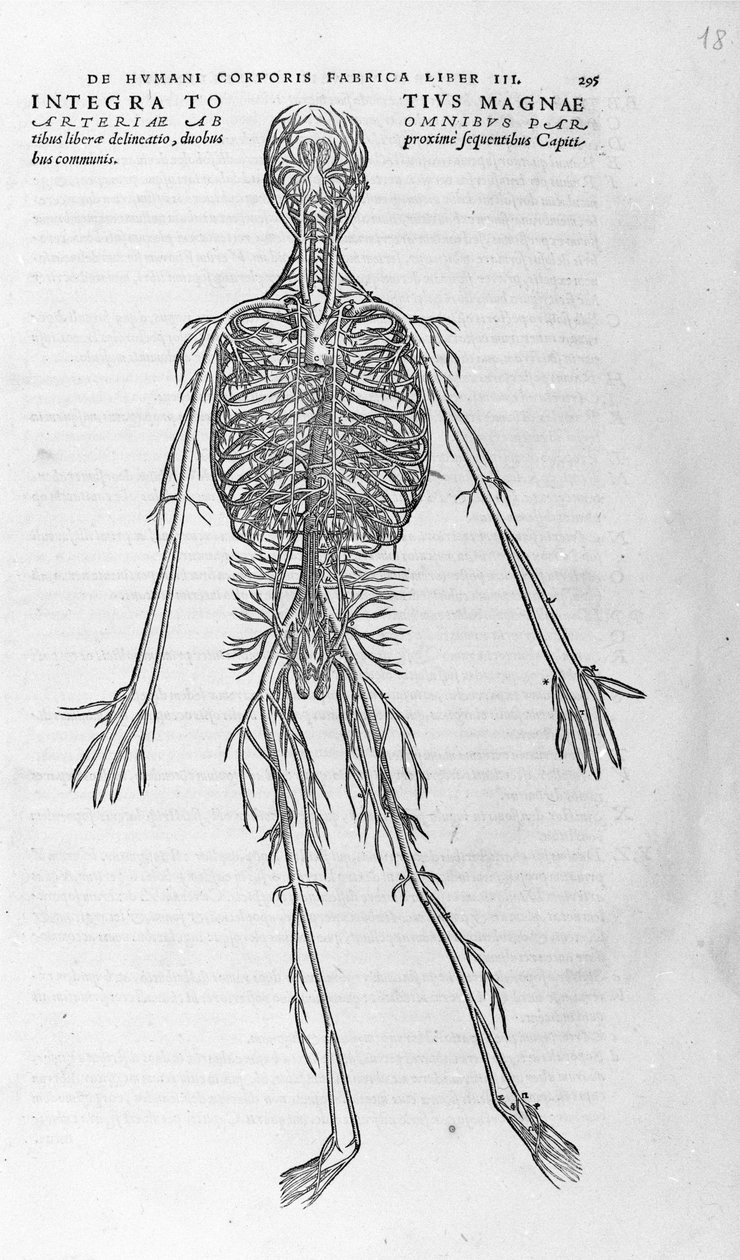 Andrea Vesalio (1514 - 1564), Charles V