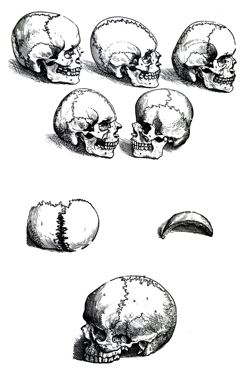 Andreas Vesalius