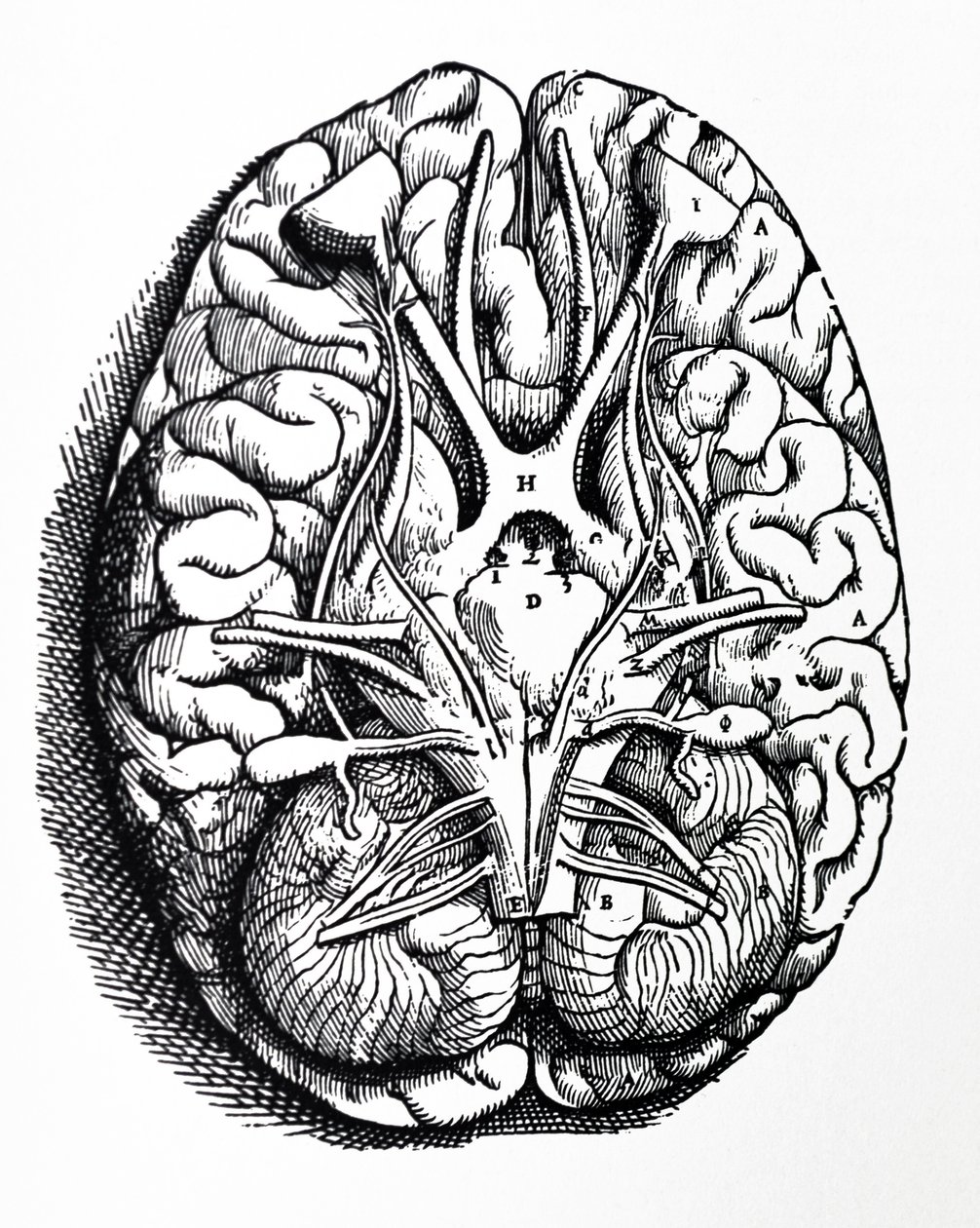 De Humani Corporis Fabrica