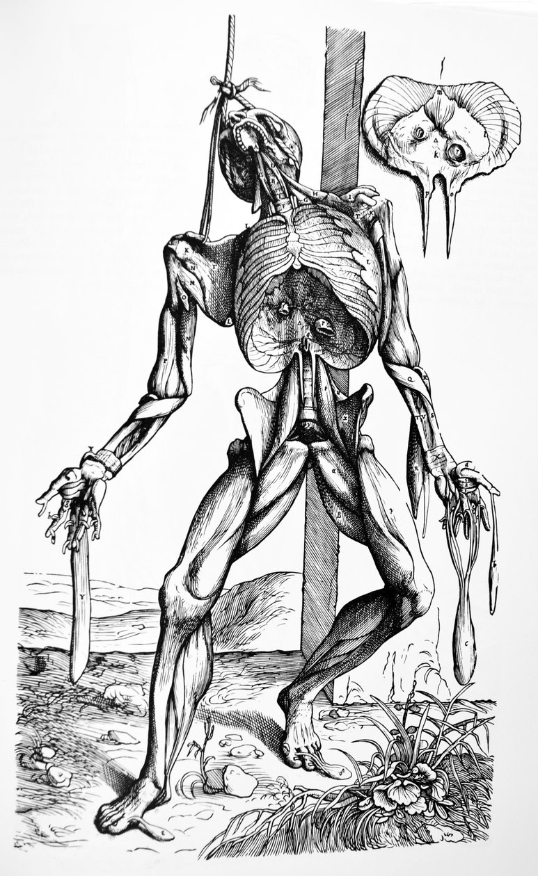 De Humani Corporis Fabrica