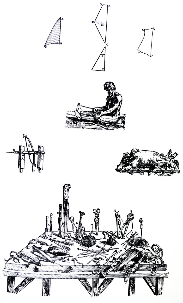 De Humani Corporis Fabrica