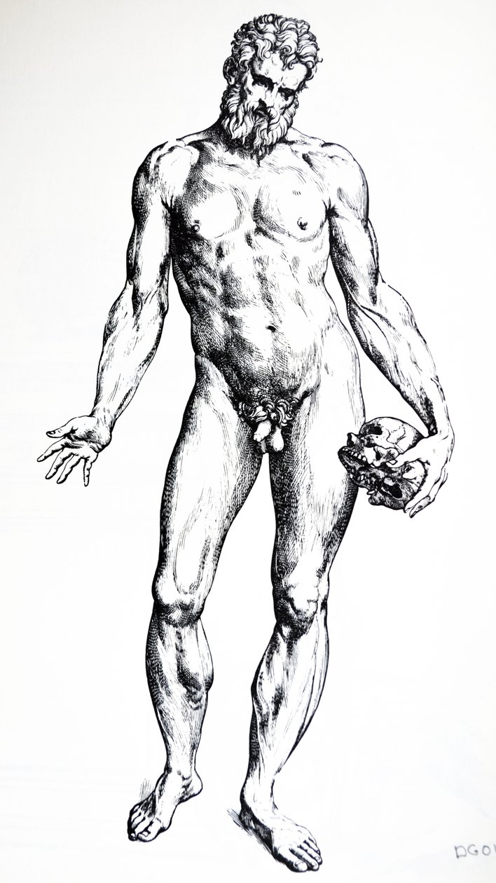De Humani Corporis Fabrica'nın Yedinci Kitabından Levhalar by Andreas Vesalius