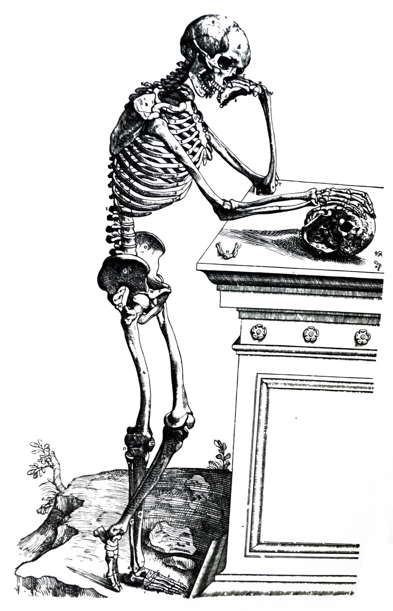 De Humani Corporis Fabrica