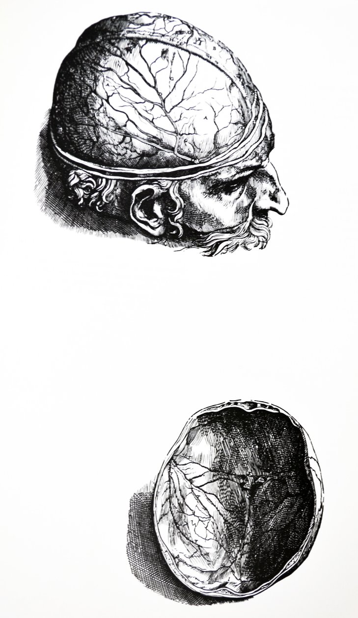 De Humani Corporis Fabrica