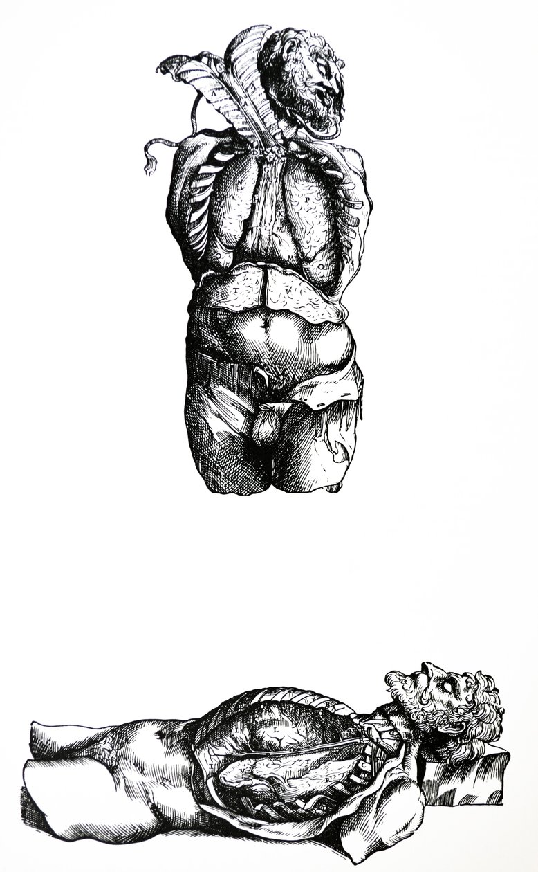 De Humani Corporis Fabrica