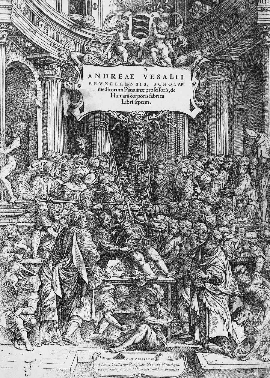 Andreas Vesalius