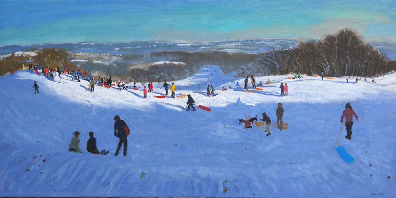 Allestree Park Derbisi, 2013 by Andrew Macara