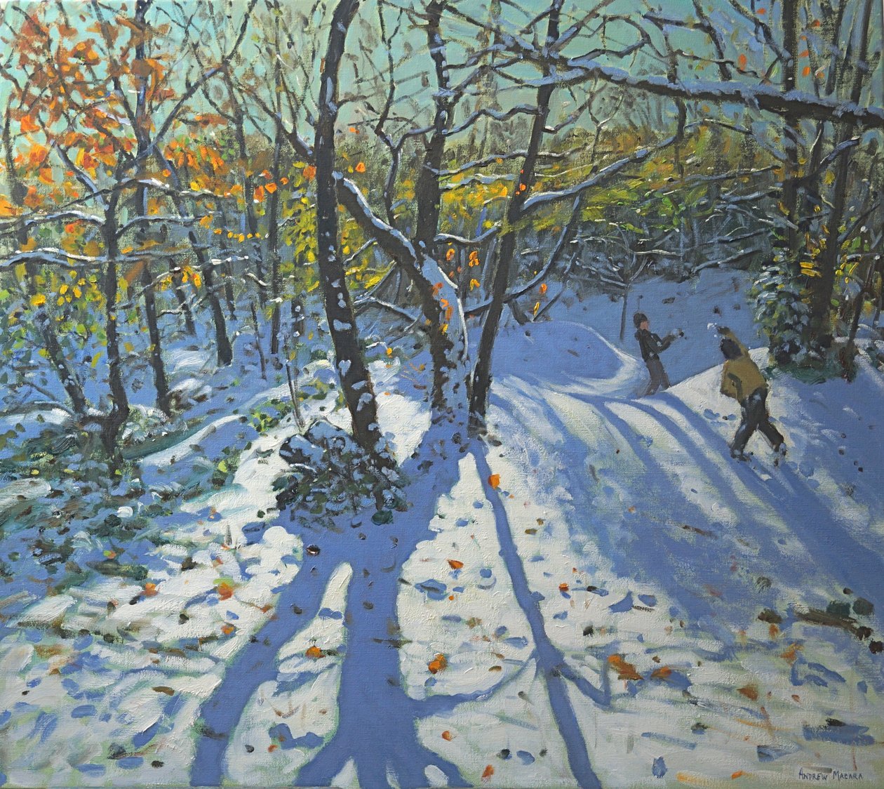 Allestree Park Woods Kasım 2010 by Andrew Macara