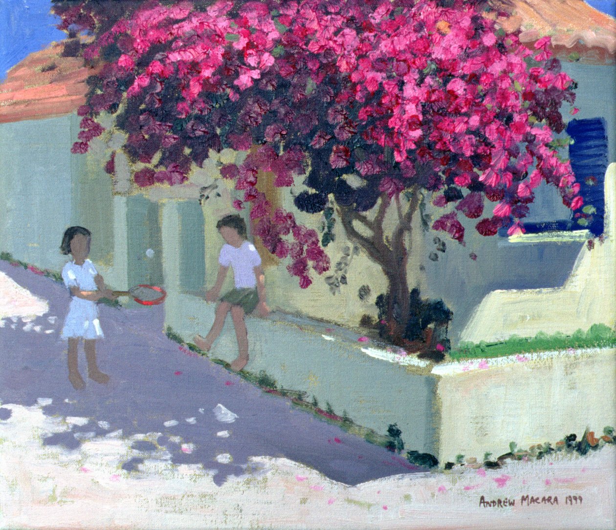 Begonvil, Zante, 1999 by Andrew Macara