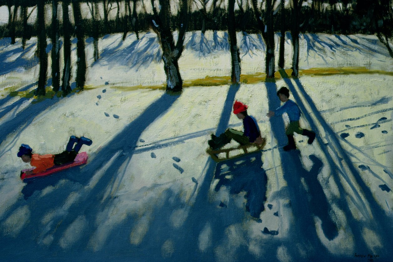 Erkek Kızak, Allestree Park, Derby by Andrew Macara
