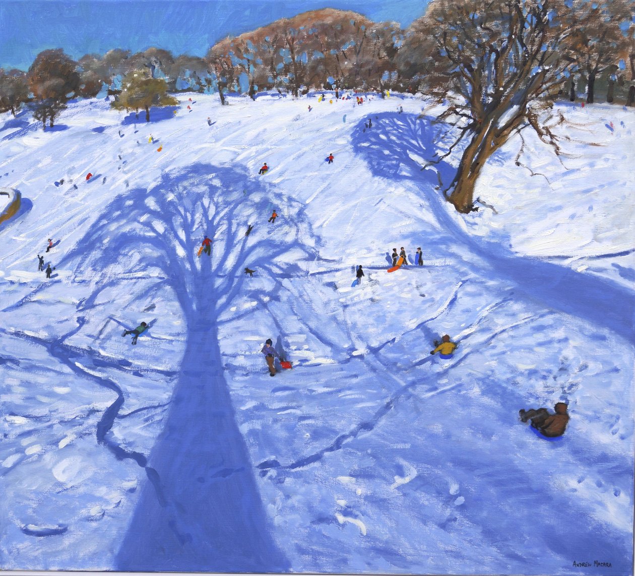 Chatsworth, kış ağacı gölgeleri, 2013, by Andrew Macara