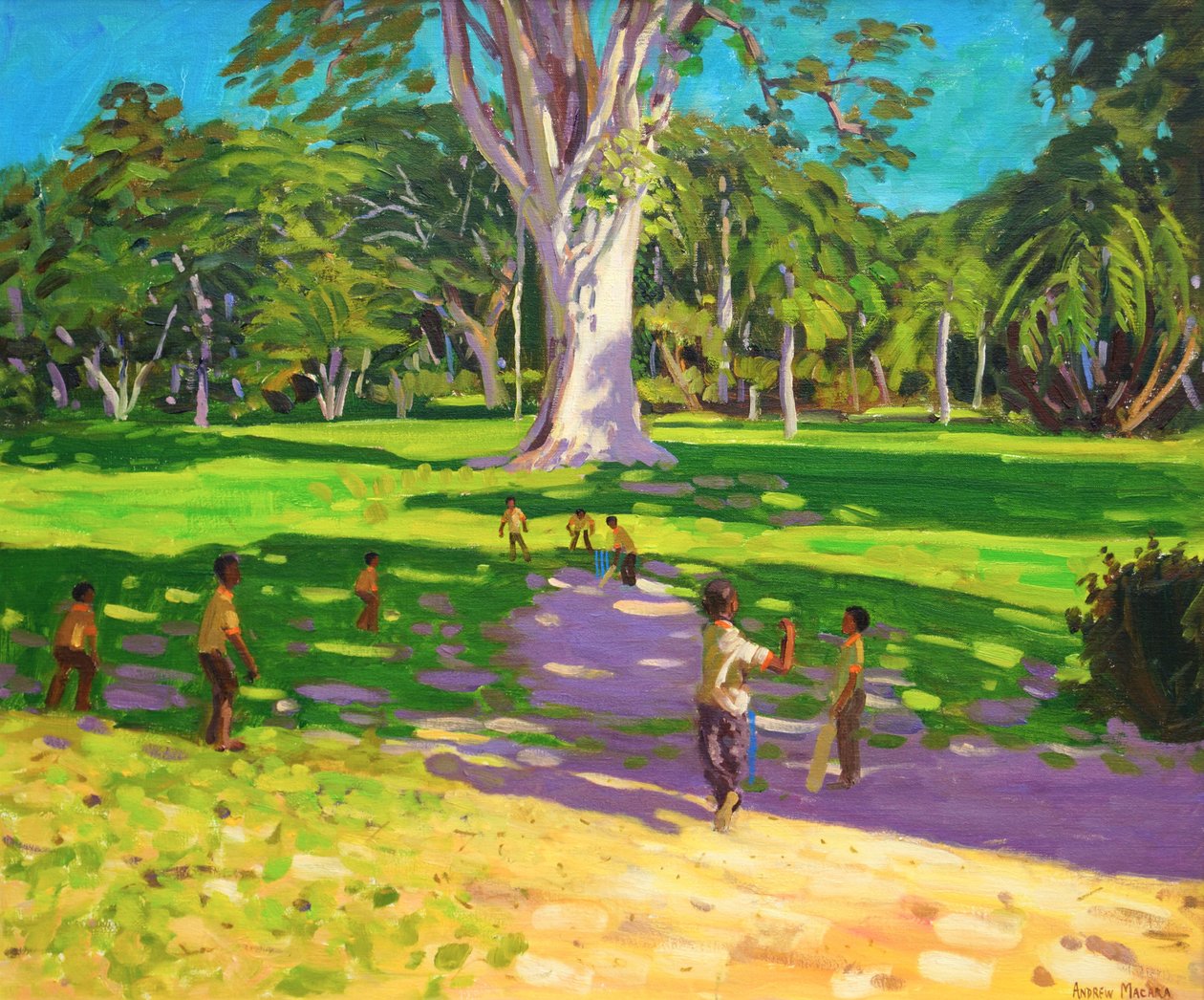 Kriket maçı, Botanik Bahçeleri, Dominika, Grenadines.2011, by Andrew Macara