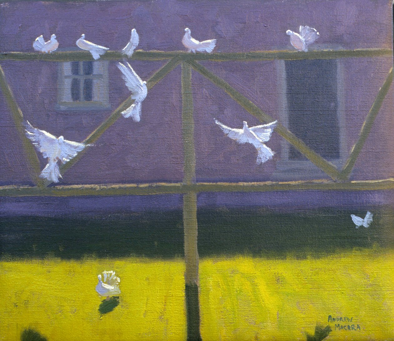 güvercinler, 1999 by Andrew Macara