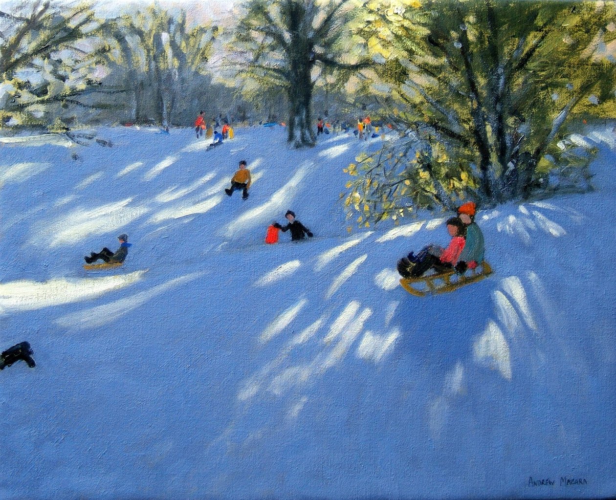 Erken kar, Darley Park, Derby by Andrew Macara