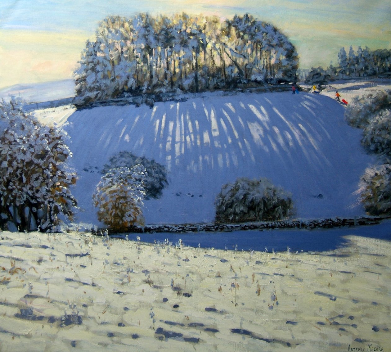 Gölgeler Alanı, Youlgrave, Derbyshire yakınlarında by Andrew Macara