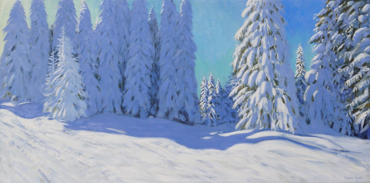 Taze kar, Morzine, Fransa, 2015, by Andrew Macara