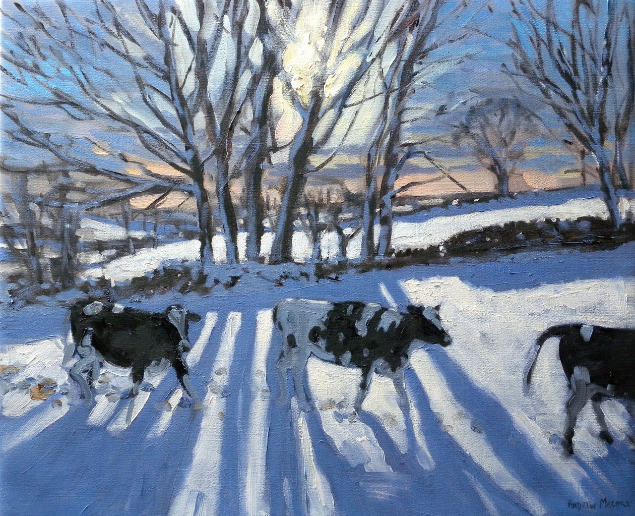 Frizyalı İnekler, 2009 by Andrew Macara