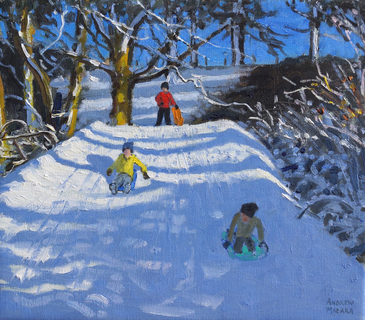 Karda eğlence,Wash Green,Derbyshire, 2014, by Andrew Macara