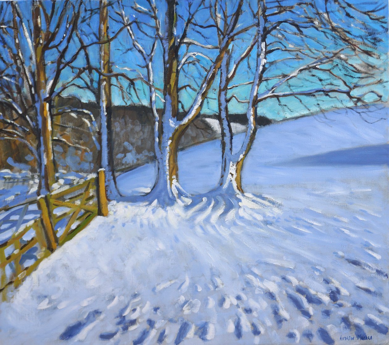 Kapı ve ağaçlar,Kış,Baraj Yolu,Derbyshire,2013, by Andrew Macara