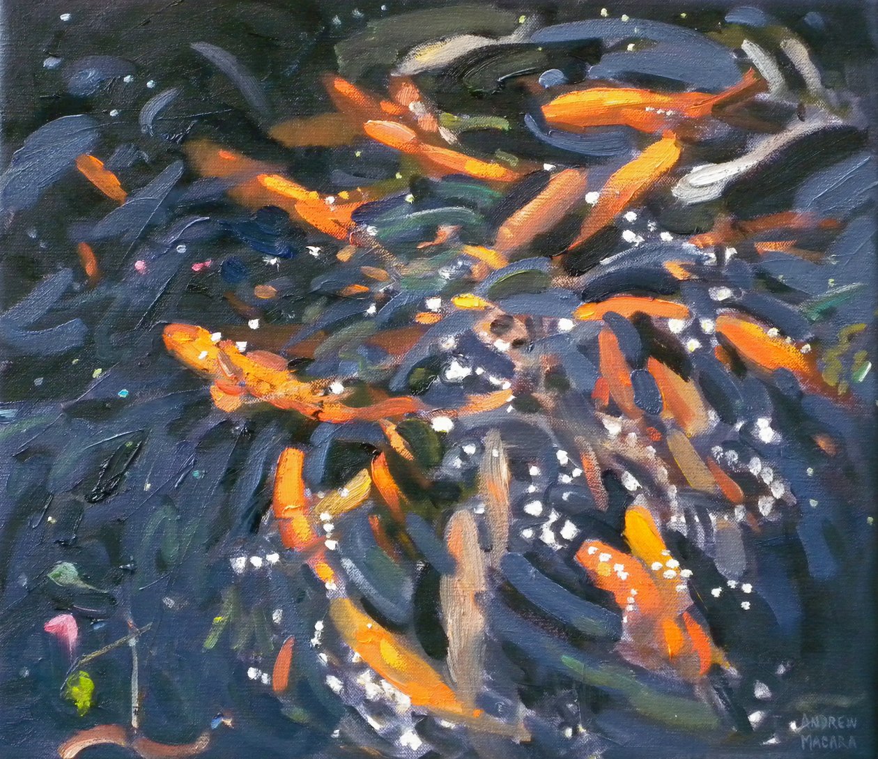 Japon balığı, 2010 by Andrew Macara