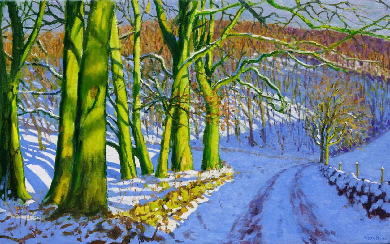 Yeşil Ağaçlar, Kış; Baraj Yolu; Derbyshire, by Andrew Macara