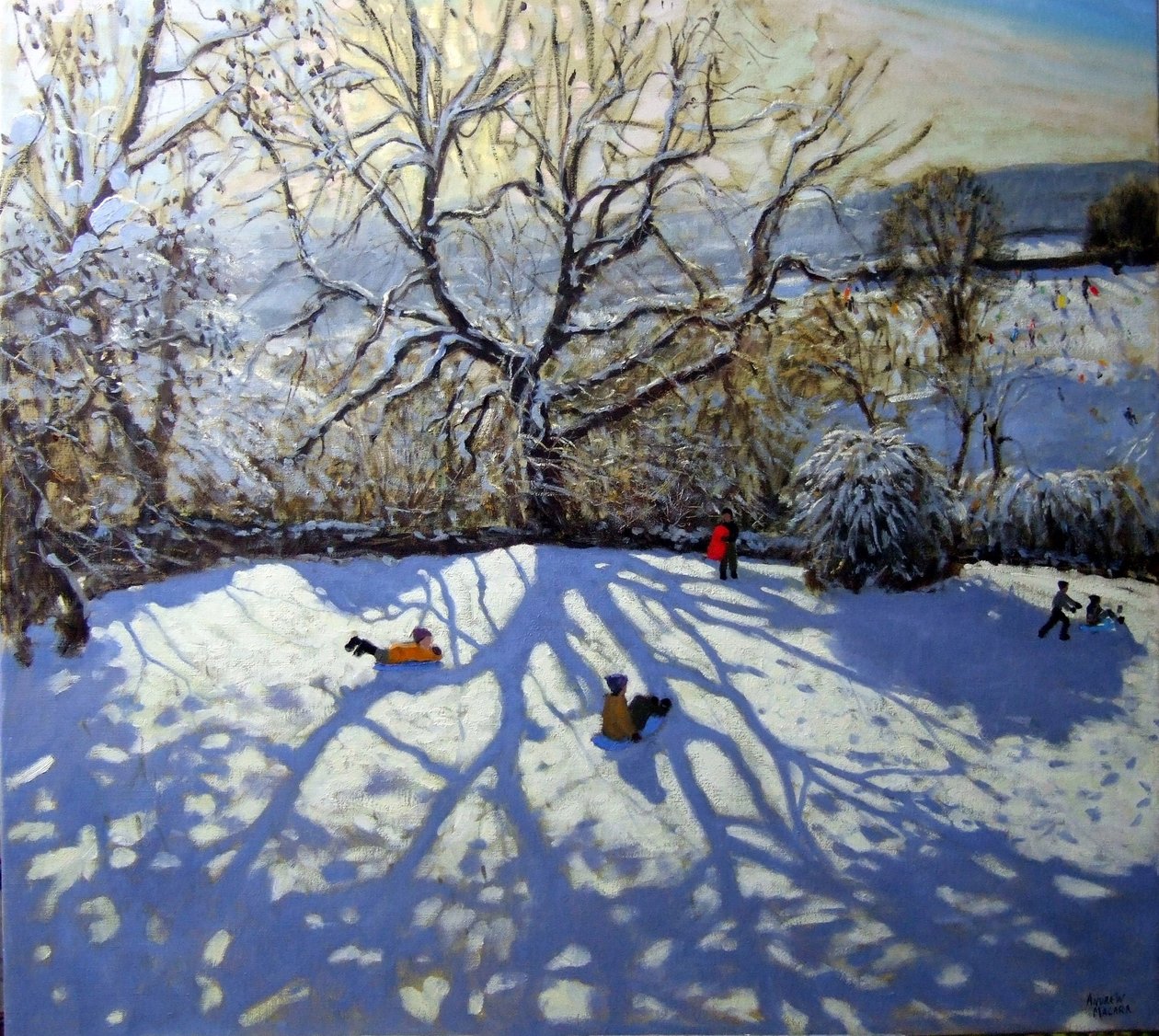Büyük ağaç ve kızak, Youlgreave, Derbyshire by Andrew Macara