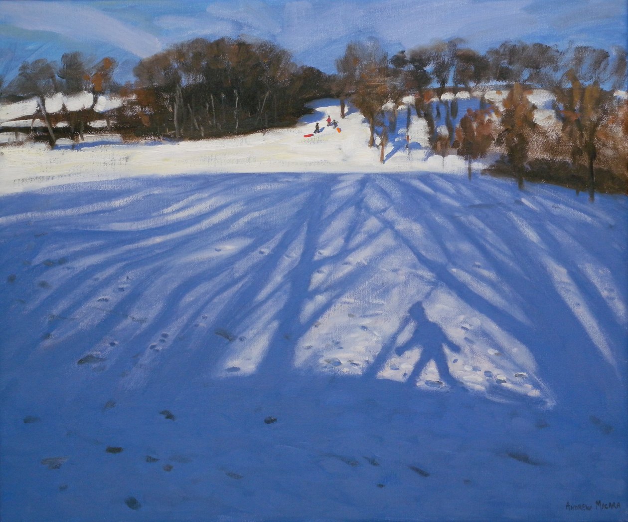 Sledger'ın Gölgesi, 2008 by Andrew Macara