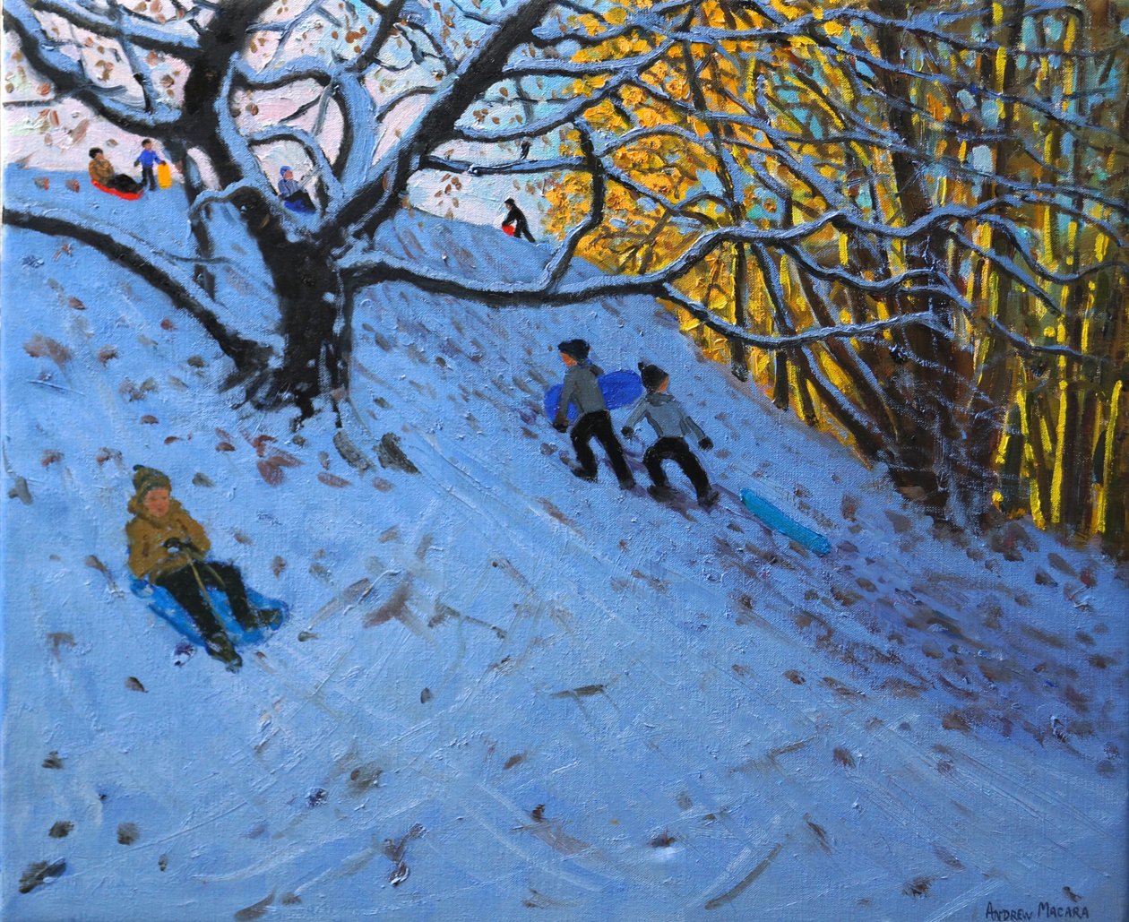 Sledging Allestree Golf sahası (3. delik) 2014 by Andrew Macara