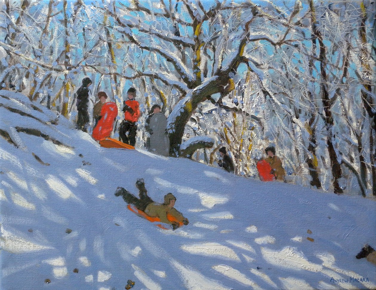 Allestree Woods'da Kızak, 2011 by Andrew Macara